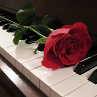 Red Rose For My Love Ran â™¥áƒ¦(conan)áƒ¦â™¥