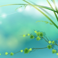 Bamboo Spring Vector