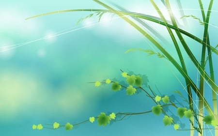 Bamboo Spring Vector