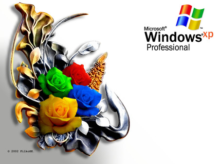 Windows XP texture - rose, cool, great, bouquet, white, xp, nice, texture, colours, windows