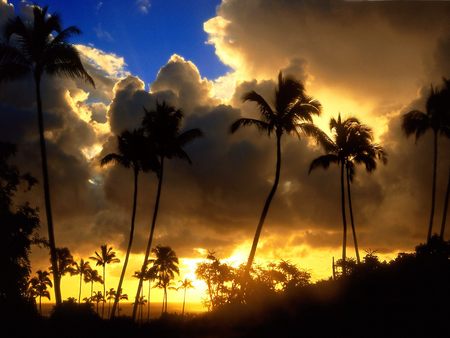 Sunset - beach, sunset