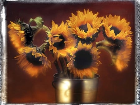 perfect sun flowers - warm, yellow, perfect, beauty, gold, bouquet, flowers, aroma, nice, sun, shine