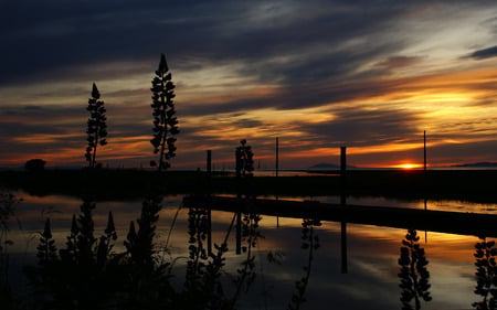 Sunset - beach, sunset