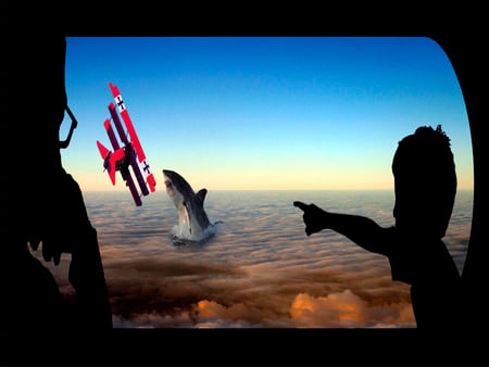 Shark Attack - silhouette, shark, window, man, plane, child, dual-screen