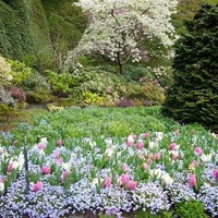 Victoria Gardens, British Columbia