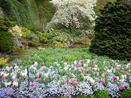 Victoria Gardens, British Columbia - nature, trees, british columbia, victoria gardens, canada, gardens, flowers