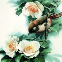 Bird On Lotus Flowers