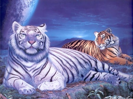 tigers - nature, naping, love it, resting, simply fantastic