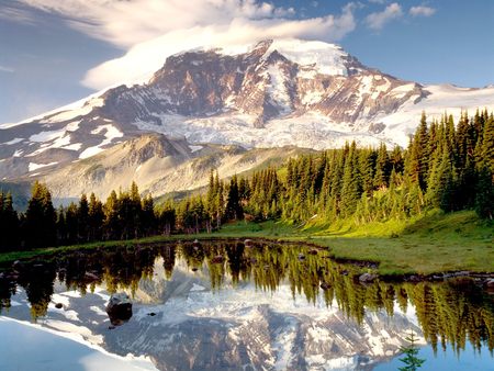 mountain - lake, forest, mountains, trees, snow