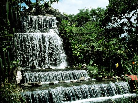 Waterfalls - fall, forest, water, trees, waterfal