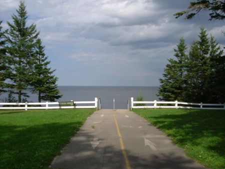 Lovely place to escape from hard day of stress - water, green, road, grass, fence, tree, sky