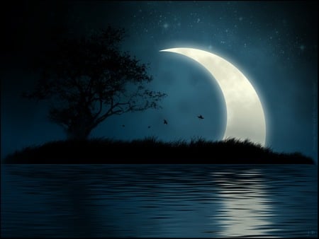 moon - moon, blue, lake, night, tree, sky