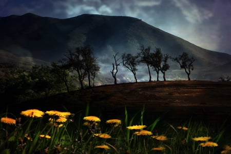 pre_made_landscape - flowers, trees, nature, landscape, night, mountain