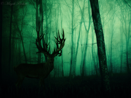 deer - trees, animal, fog, green, deer, jungle, night