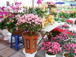 HANOI FLOWER SHOP