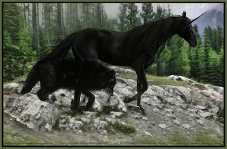 Friends With in The Darkness - black, fantasy, black wolf, friends within the darkness, art, horse, wallpaper