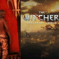 Witcher: Assassins of King