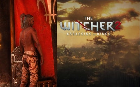 Witcher: Assassins of King - elf, cgi, warrior, witcher, assassins of king, geralt