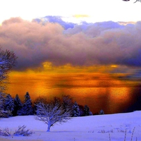 WINTER GOLDEN LAKE