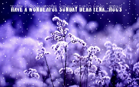 For my new friend Lena - snow, wallpapers, friendship, purple