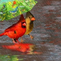 birds sharing umbrella