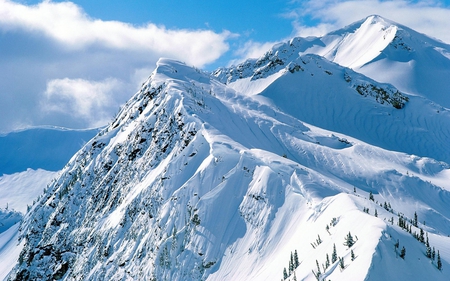 White peaks - white, winter, nature, snow, peaks, mountain