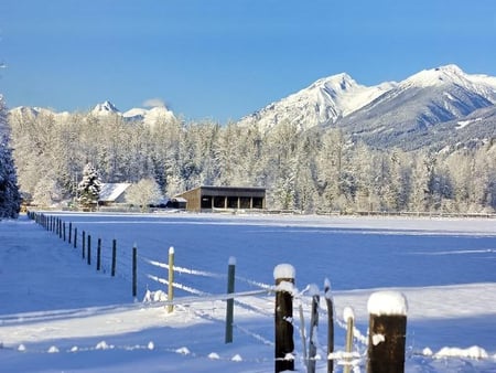 Pemberton Meadows Farm, British Columbia, Canada - farm, sky, trees, white, cold, british, pemberton, fence, landscape, mountain, winter, meadows, columbia, forest, blue, snow, canada, shadow