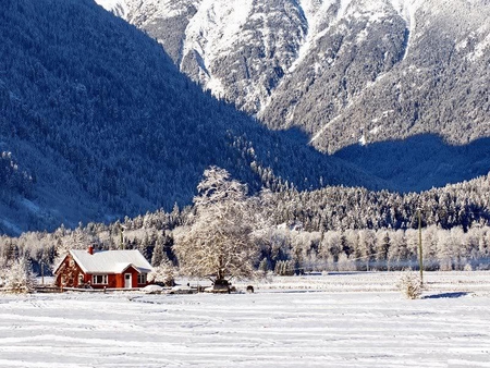 Little Red House in the Meadows - mountain, trees, landscape, winter, field, nature, white, cold, red, snow, house, shadow