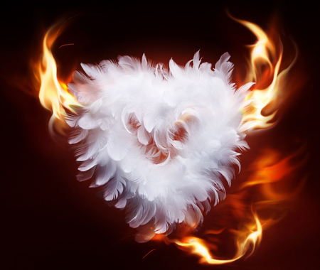 Heart - nice, beauty, heart, photography, colorful, great, fire, fantasy, white, amazing, pretty, cool, valentines day, holiday, down, love, tail, feathers, flames, valentine, lovely, horns, devil, abstract, beautiful, colors, photo