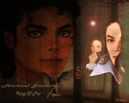 Michael Jackson - dancer, movie, music, dream, singer, michael jackson, king, jackson, petillantes, concert, star, michael, pop