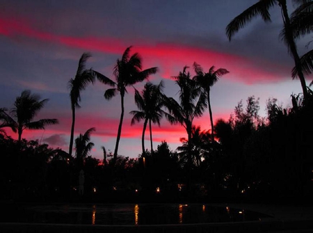 Red Sky at Night - water, blue, red, lights, palm trees, exotic, sky