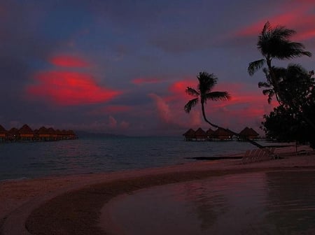 Paradise found - sky, beach, ocean, red, palms, huts