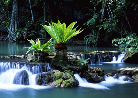 Thailand - water, green, park, rocks