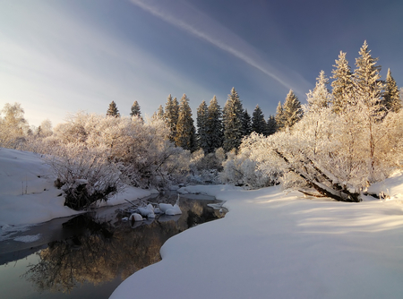 Pristine Winter - pristine, trees, beautiful, snow, winter, stream