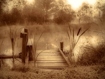 FOGGY - nature, photography, sepia, foggy, lake, atmosphere