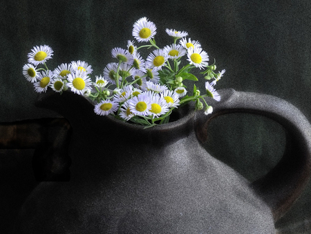 DAISIES - daisies, pot, flowers, abstract, duotone, still life