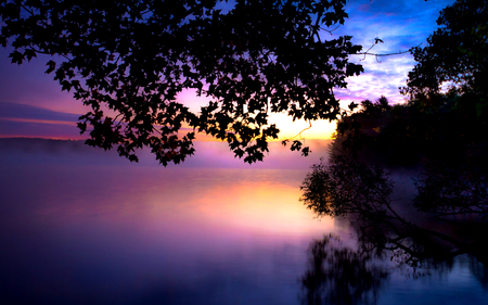 Early Morning - early, good morning, beauty, sky, early morning, trees, peaceful, water, foggy, mist, view, reflection, clouds, tree, morning, lake, landscape, lovely, nature, beautiful, leaves, fog, splendor, colors, sunrise, misty