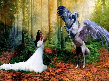 The lady and the pegasus - romantic, girl, beauty, pegasus, forest, love, horse, leaves, fall, white dressed, passion, lady, autumn, woman