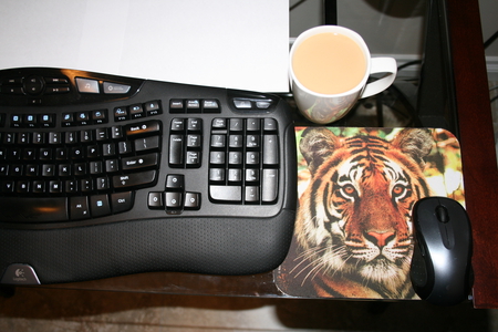 Coffee while I am on Computer - black, white, key board, coffee, pad, photography, mug, tiger