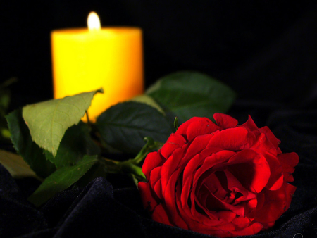 Precious Love - candle, photography, rose, flower, red rose