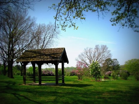 Peaceful Park - nature, sky, trees, field, flowers, grass, shadow