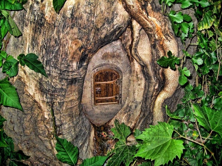 Mysterious Little Door - leaves, trunk, tree, door