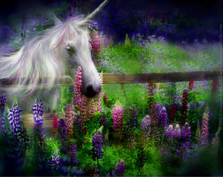 UNCORNS DREAM - dream, field, flowers, unicorns