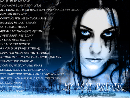 evanescence lead singer and lyrics - music, awesome, evanescene, singer