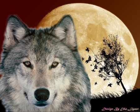 Wolfmoon