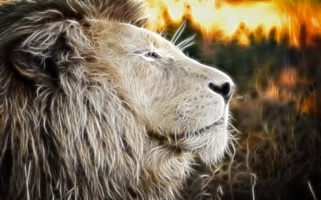 Lion King - loving, fractalius, beauty, lion, beast, animals