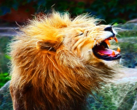 Lion Roar - fractalius, beauty, lion, beast, animals