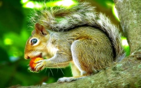 Squirrel - loving, fractalius, beauty, squirrel, animals