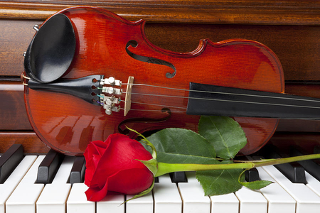 Music is Poetry of Air - piano, music, red rose, violin, photography, rose