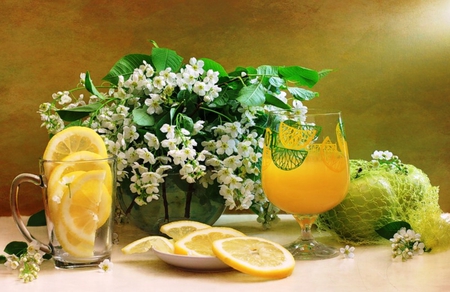 Refreshing - vitamins, fresh, glasses, fruit, juice, nature, lemon, refreshing, flowers, natural